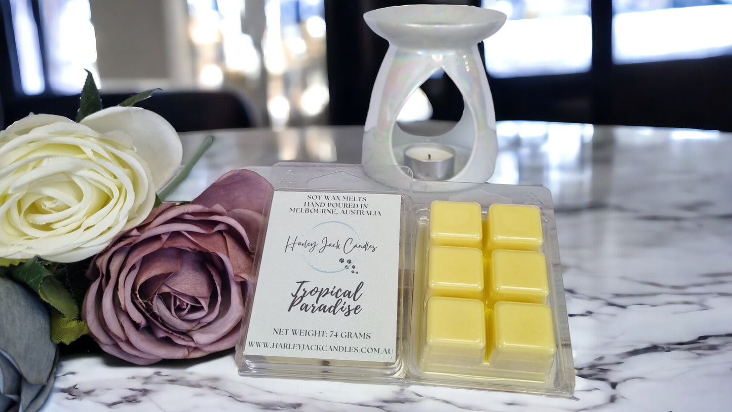 Soy Wax Melts - 6 Cavity Block