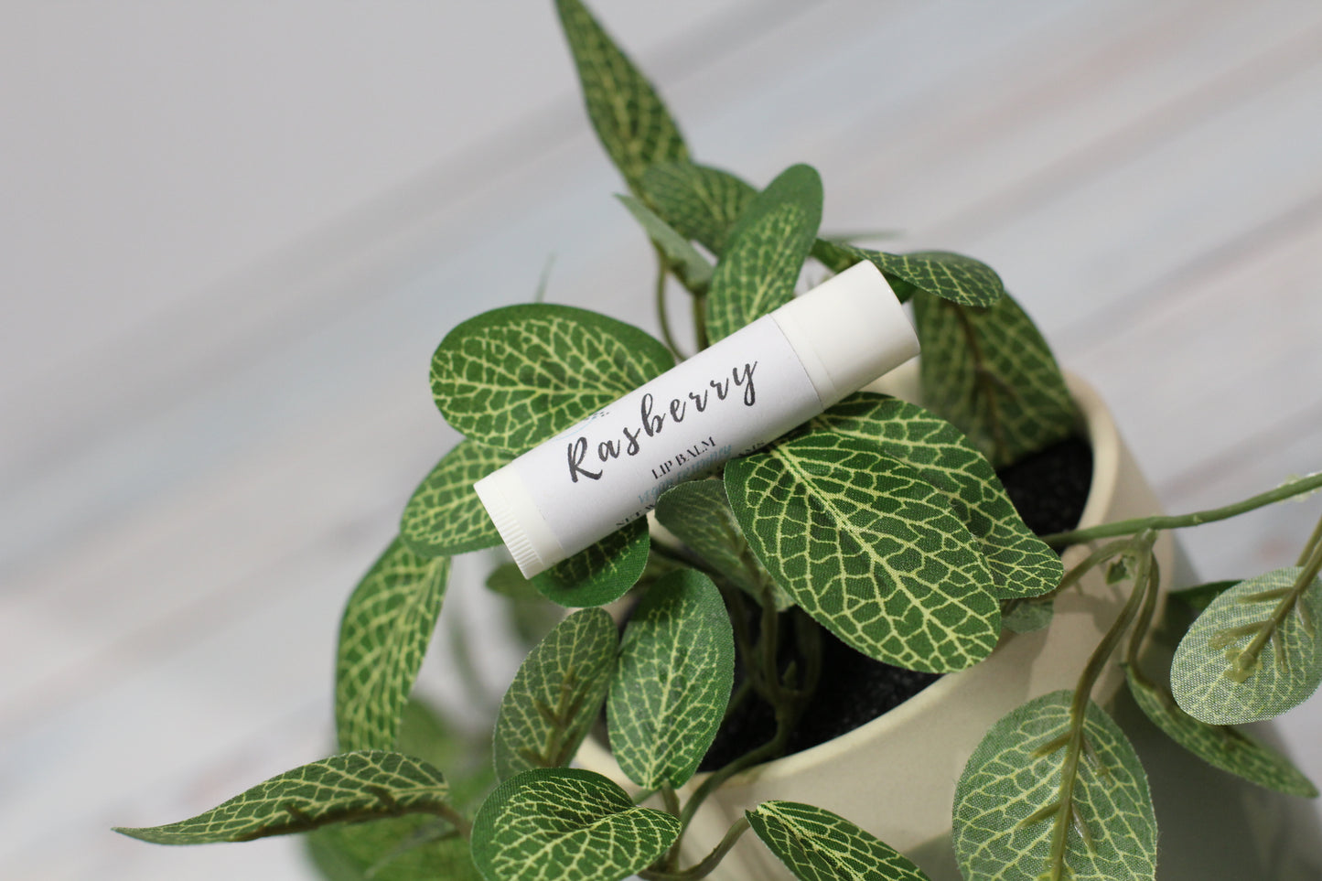 Lip Balm - Vegan Friendly